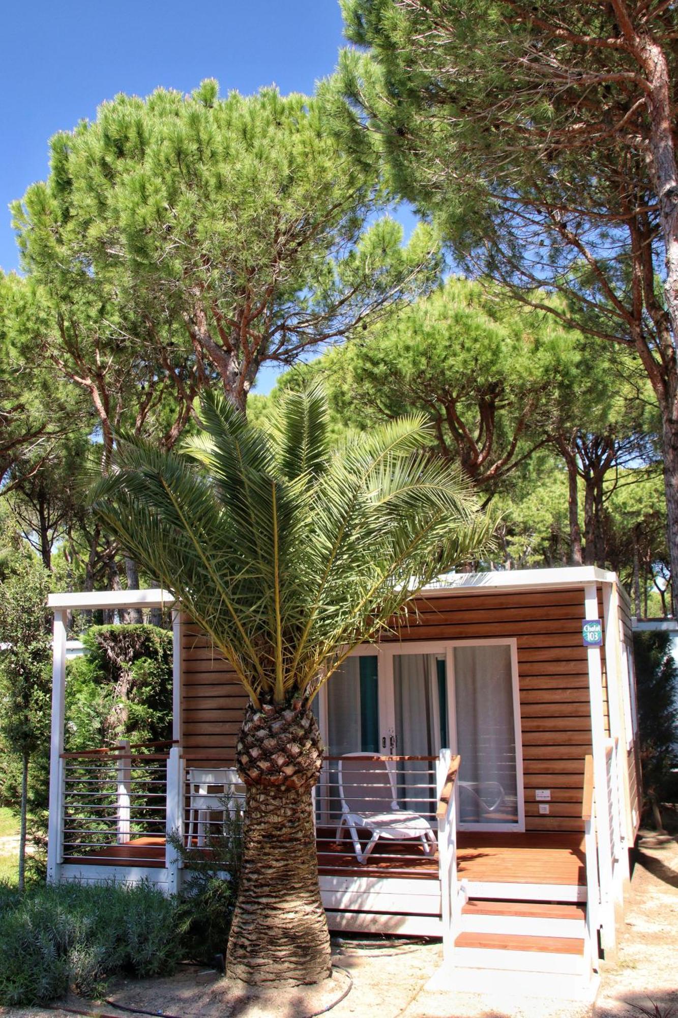 Dune Prestige & Chalets Бибионе Экстерьер фото
